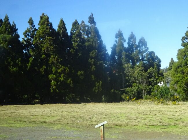 （車窓風景）森林地帯に入ります。