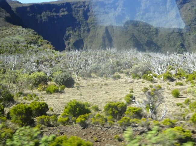 （車窓風景）２００９年の山火事の跡（８－１２月の乾期に火事が多い。ヘリコプターで水を掛けます。）