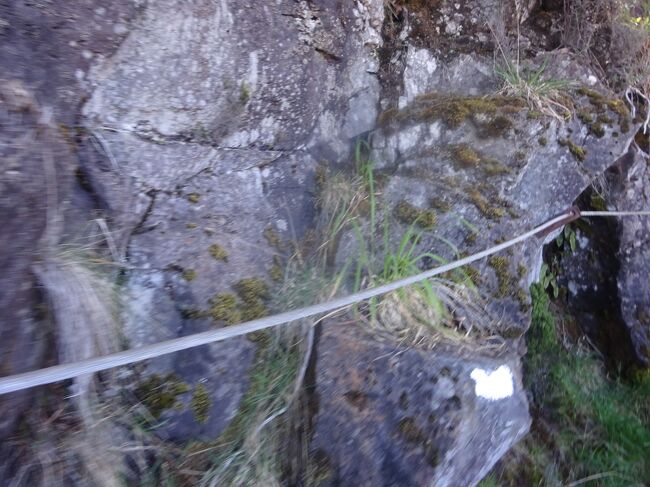 所々に綱が張られています。