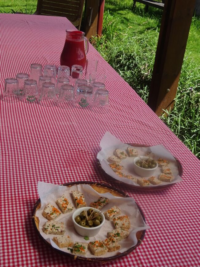 まず、パンチ（ラム酒入り）（グアバ　ストロベリー　）と前菜をテラスで戴きます。（パンチが美味しく、沢山、飲みました。かなり、酔っ払いました。）