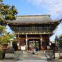 関西久しぶり旅八日間（五日目）～京の冬の旅、妙心寺の塔頭、寿聖院、玉鳳院から嵐山では福田美術館と嵯峨嵐山文華館。熊彦の懐石ランチで一息です～