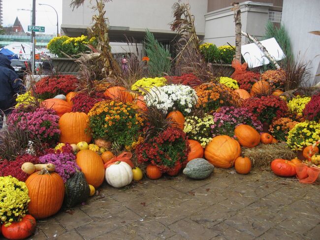 パンプキンがいっぱい！