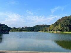 併設された公園を散歩
憩いの場となっています。
この日このすぐ近くで18時半からライブなんて信じられない。