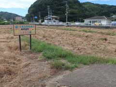 元気な百姓の花畑公園