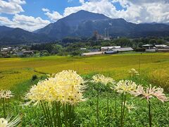 こちらは9月12日の寺坂棚田。

あんこう鍋さんの旅行記をみてやってきました。
https://4travel.jp/travelogue/11851923