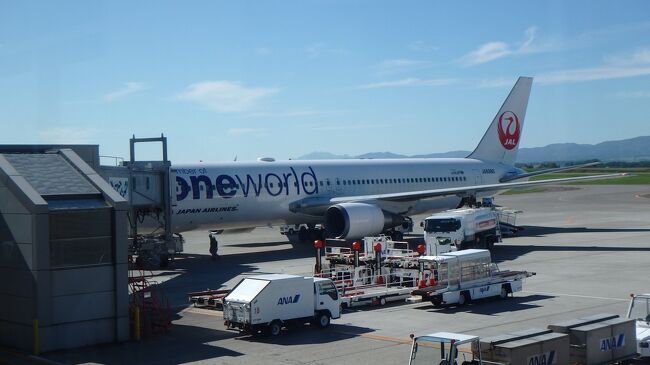 羽田7時40分のJAL1163で出発です。<br />