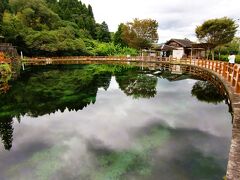 霧島山麓丸池湧水