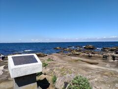 首都圏とは思えないダイナミックな地形と大海原が望める大きな公園です。