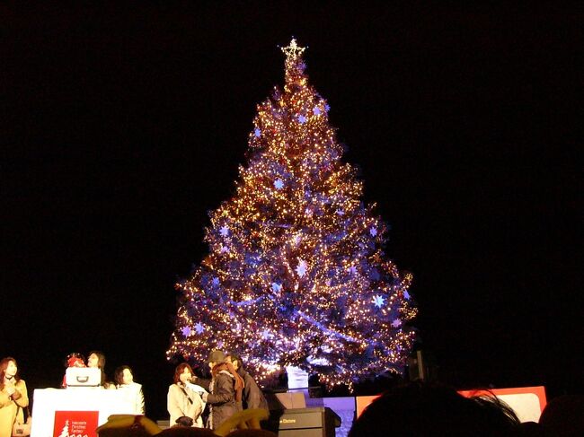 展望台には大きなクリスマスツリーもありました。