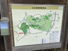 都立小山田緑地
