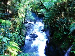 遊歩道を上流へ進めばまさに峡谷である「霧島神水峡谷」です、

鬱蒼とした渓谷を流れる渓流の景観が１．８ｋｍも続くそうで、その中に遊歩道が整備されています。
青い川の色はまさに神の水に相応しい神秘的な雰囲気が漂ういます。

＊詳細はクチコミでお願いします