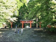 おがたまの木が在る参道「霧島神宮」にやって来ました、

平日の午前中なので観光客・参拝者はまばらですが霧島観光のスポットです。

木々に包まれた清々しい空間はまさに神霊を招くパワースポットのようです。

＊詳細はクチコミでお願いします