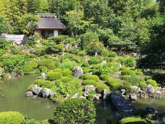 等持院・西池（芙蓉池）

池泉回遊式の園池は，中島や枯滝，茶室「清漣亭（せいれんてい）」を配した西池（芙蓉池，ふようち）と，中島や岩島を抱く東池（心字池，しんじいけ）からなっています。かつては衣笠山を借景としていましたが，立命館大学の修学館が建設されてからは視界が遮られています。