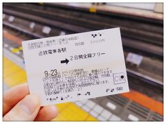 近鉄全線、2日間フリーきっぷ、3,000円
たまたま見つけたお得な切符(〃ω〃)
特急券は別で購入しました。
4年ぶり、2回目の伊勢です。