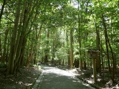 今日も町は猛暑だが神宮の森は高原のような涼しさ！