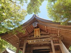 志賀海神社