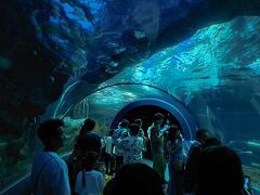 新潟市水族館 マリンピア日本海