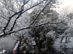 2月21日（４日目）

雪です。。
ホテルから見える隣の岡崎神社も雪化粧。