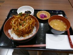 22:00 浜松SAでかき揚げ丼の夕食。