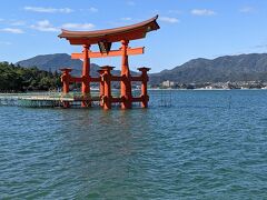 大鳥居は海の中でした。つい最近まで足場で全体が覆われて見れなかったのですが足場が取れて良かったです。
