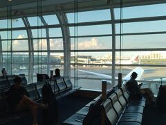 日本人の海外旅行の渡航者も増えてきたとは言われますが、私の出発した9月上旬の羽田空港ではまだ外国人客の比率が多い気がします。今回6回目の世界一周旅行は羽田からスタート。同行の家内はビジネスで私はエコノミー。今回はその差がどれくらいかわかるのも楽しみでもあります。