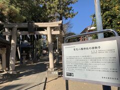 柴又八幡神社は古墳の上にあるそうです。