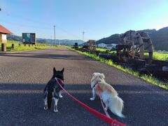 3日目の朝も、旦那はジョギング、ワンコたちとはクルマで、まずは安並水車の里
