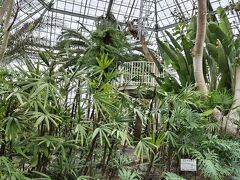 函館市熱帯植物園