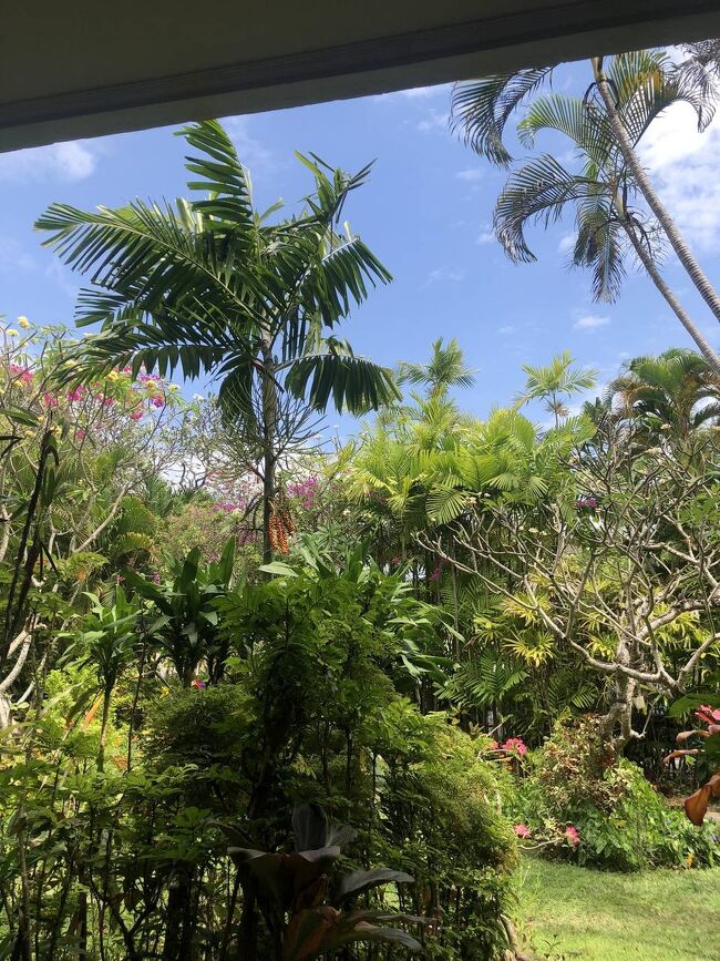 宿に戻り。<br /><br />あれ？これ朝のと同じ写真じゃない？って思うかもしれないけど、違います。<br />これは午後に撮ったやつで、そしてこれから何枚か、あなたは同じような写真を見ることになるでしょう。<br /><br />ちょっと離れたとこに泊まってるバリ友Mymさんが、バイクタクシーでここまで来てくれたので、朝歩いたビーチ沿いを一緒にぷらぷら歩いてDouble Six Beachあたりまで。