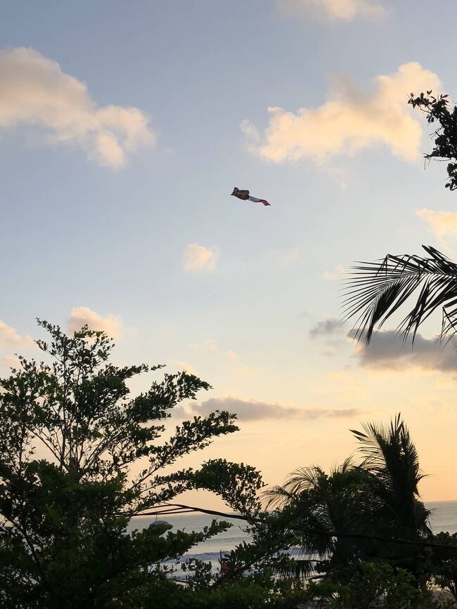 バリの人、凧好きだよね。