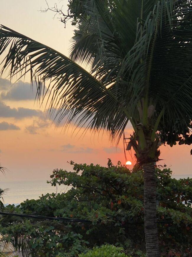 あ、でも、雲が邪魔で、水平線の随分上で太陽隠れちゃったね。