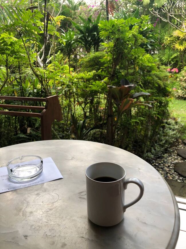 まずは朝の1杯（部屋にあったネスカフェ）