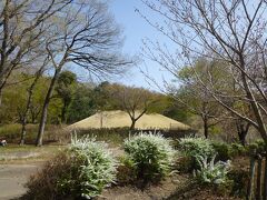 旅の最後は、桜が有名だという天平の丘公園へ

残念ながら桜は終わちゃってる感じ