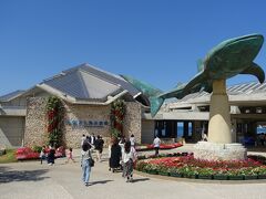 美ら海水族館初訪問です！