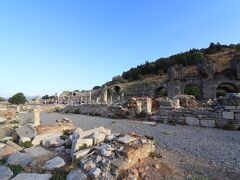 港からバスで30分ほど。エフェスとも呼ぶ。ここも世界遺産。ギリシャ人が建設し、東ローマ時代まで長く使われた都市の遺跡。