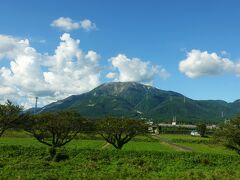 伊吹山
この低木の並ぶ位置が東海道線から伊吹山を撮る定位置になってます。でも何回通っても何処だかシッカリ把握出来てなくて、結果的にそうなってるだけなのは富士山と同じ(-_-;)