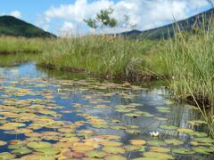 これまで蕾しか見ていなかったから、小さな白い花に感激

この風景、いいよなぁ