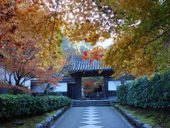 最勝院は、南禅寺の塔頭です。
門前の参道と紅葉が美しい寺院です。