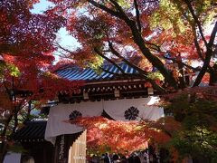 中門もモミジに囲まれていて、紅葉で彩られています。