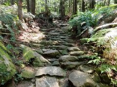 美しい石畳の道が残っている、馬越峠。

空は晴れていますが、古道は日陰が多くてそんなに暑くない。
果てしなく続くように見える上り坂を、ゆっくり歩きます。