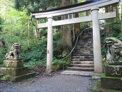 乙女の像から林の中に続く道を進むと十和田神社の鳥居が見えてきます。