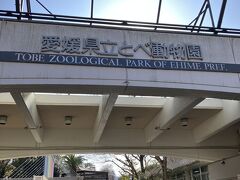 やっと着いたとべ動物園。