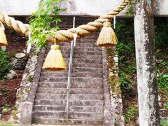 根道神社
モネの池の隣の神社です。石段を登ると本殿に出ます。
今日は疲れていて、上まで登るのはパスしました。