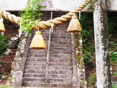 根道神社
モネの池の隣の神社です。石段を登ると本殿に出ます。
今日は疲れていて、上まで登るのはパスしました。