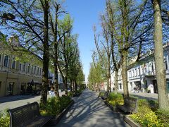 メインストリートであるライスヴェス通りは並木に挟まれたベンチを備えた中央の道を挟んで両側が歩行者天国になっている。