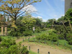 平成つつじ公園