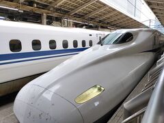 東京駅から新幹線で京都駅へ行きます。

のぞみ219号　東京　10:00発