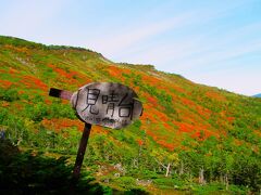 09：30～10：45 　午前中はピーカンの青空で「銀泉台」の紅葉を堪能する事が出来ました。