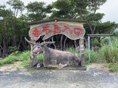 次に訪れたのが、由布島。石垣島のガイドブックでよく見かける浅瀬の海を水牛車で渡る景色がこの島です。
