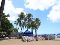 ハワイに来たーと実感する景色。